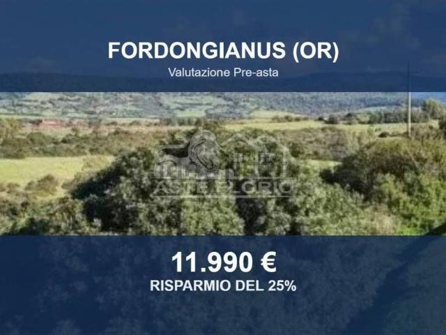 Terreno in vendita di 23165 m² in Strada Provinciale 39