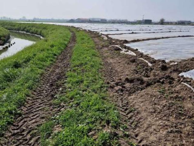 Terreno in vendita di 23228 m² in Strada Margherita