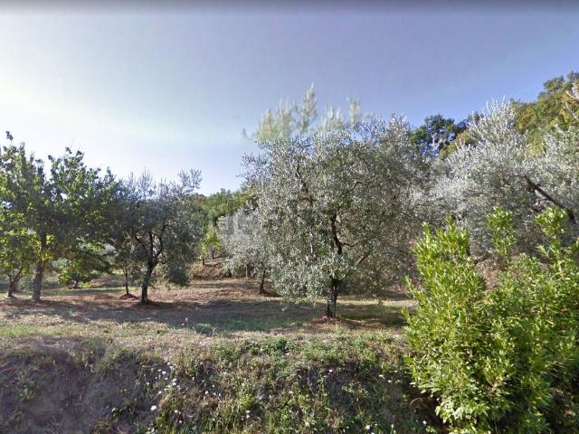 Terreno in vendita di 23250 m² in Via Monsummano Alto