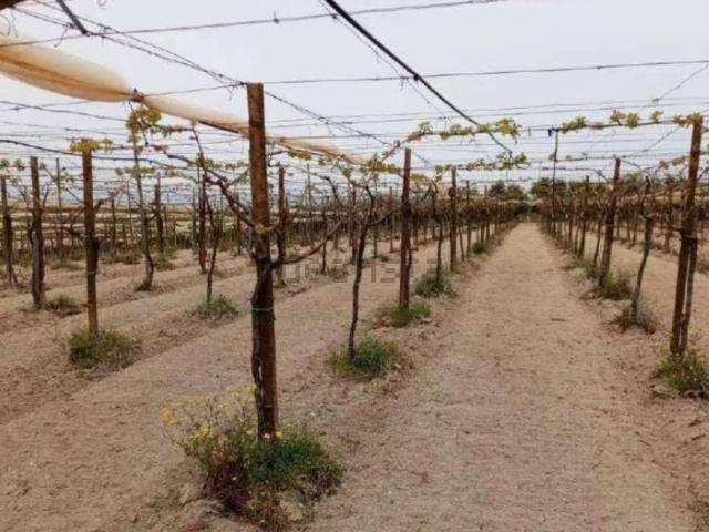 Terreno in vendita di 23274 m² in Strada Comunale Retina La Corsa