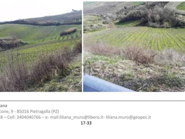 Terreno in vendita di 23374 m² in Contrada Dragonetti