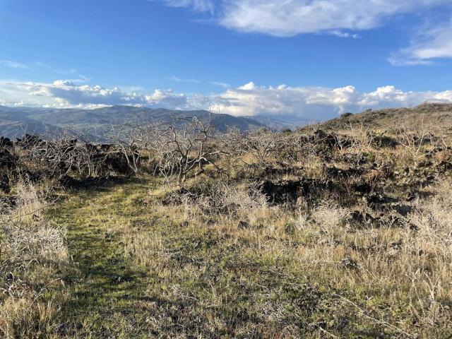 Terreno in vendita di 24480 m² in Contrada Cipollazzo