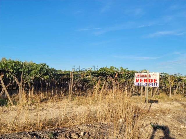 Terreno in vendita di 24500 m² in Via Teano