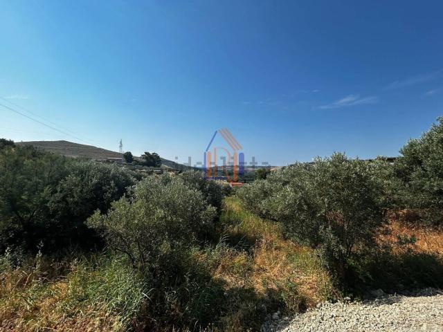 Terreno in vendita di 2460 m² in Via Fiume Neto