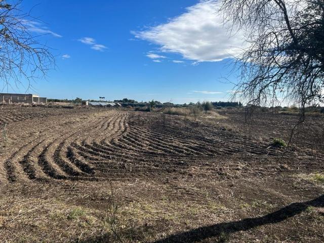 Terreno in vendita di 24649 m²