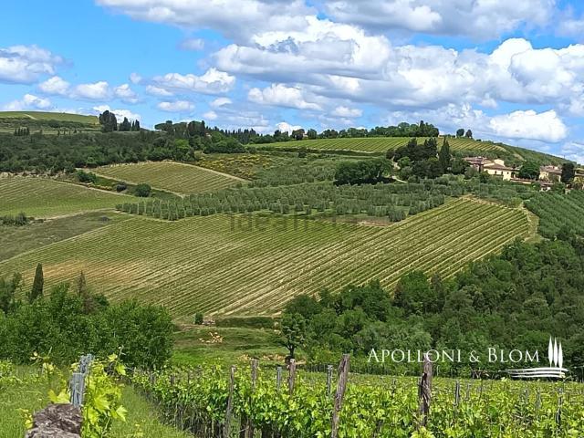 Terreno in vendita di 247398 m² in Località Gavignano, 3