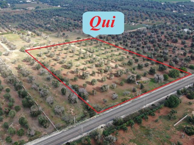 Terreno in vendita di 24761 m² in Contrada Frascinari