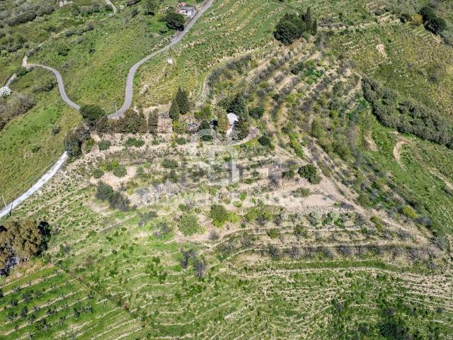Terreno in vendita di 24995 m² in Via Ciapparotto
