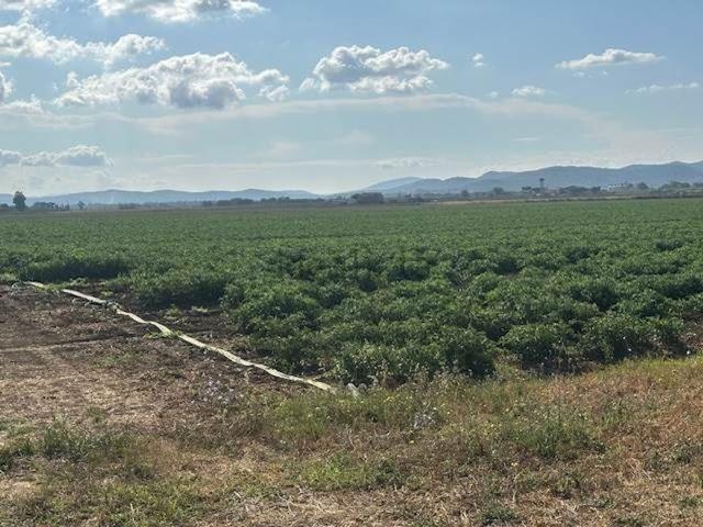 Terreno in vendita di 240000 m²
