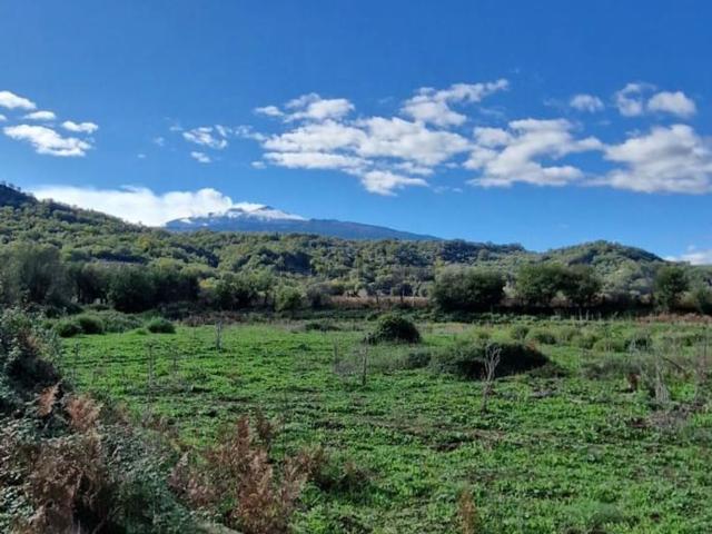 Terreno in vendita di 24000 m²