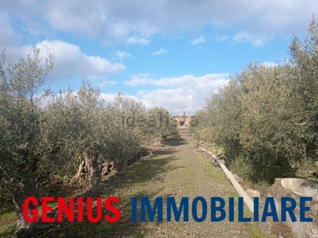 Terreno in vendita di 24000 m² in Via della Montagna