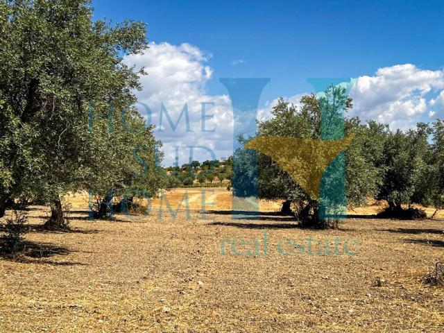 Terreno in vendita di 24000 m² in Via tommaso fazello, 228