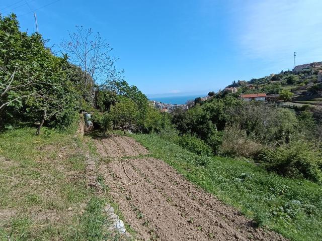 Terreno in vendita di 2400 m² in Strada Tasciaire