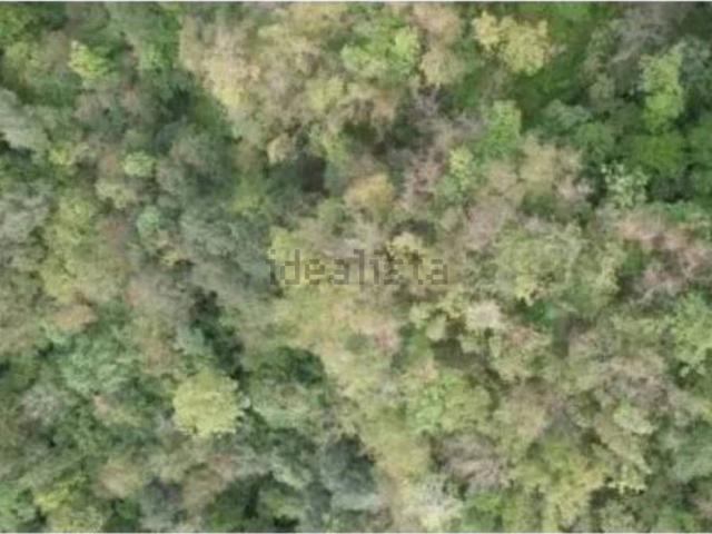 Terreno in vendita di 24020 m² in Via Gioz