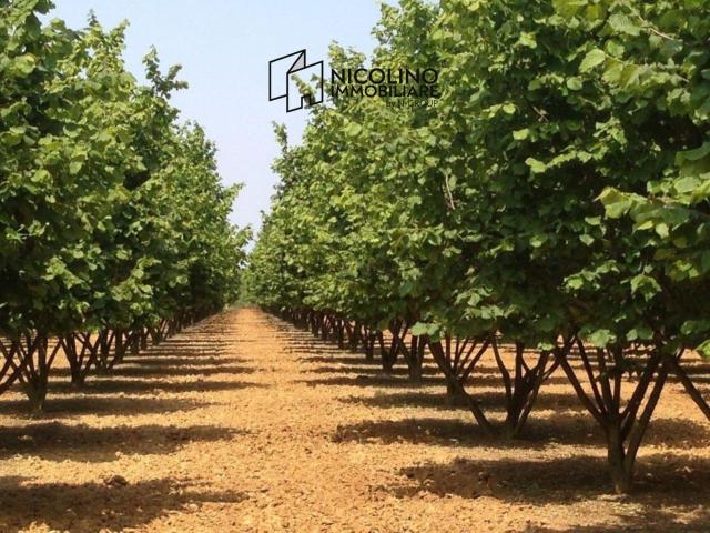 Terreno in vendita di 24250 m² in Strada Provinciale 57
