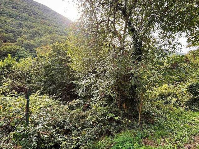 Terreno in vendita di 243 m²