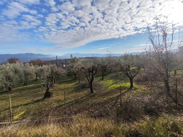 Terreno in vendita di 2540 m² in Strada Provinciale 79