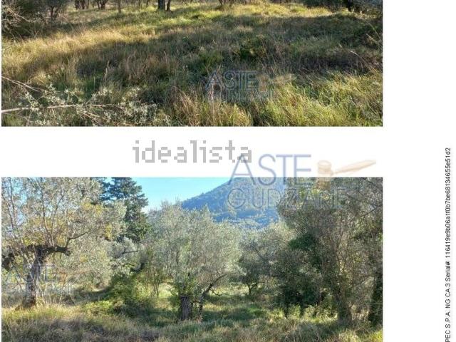 Terreno in vendita di 25437 m²