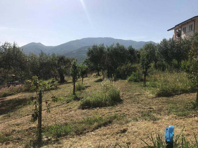 Terreno in vendita di 2547 m² in Via Sala