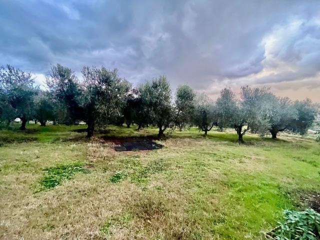 Terreno in vendita di 2557 m²