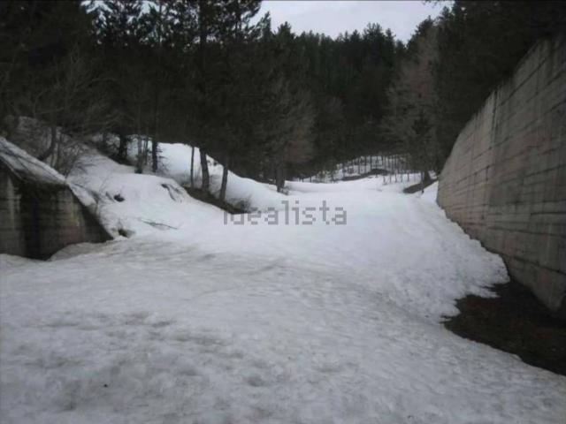 Terreno in vendita di 256020 m² in Località La Macchia