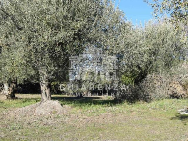 Terreno in vendita di 25852 m² in Contrada Agnelleria