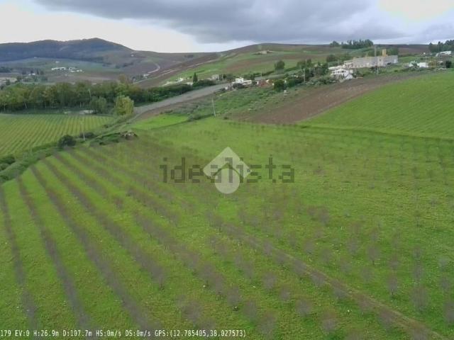 Terreno in vendita di 25000 m²