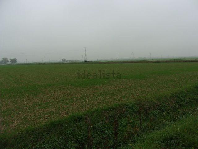 Terreno in vendita di 25000 m²