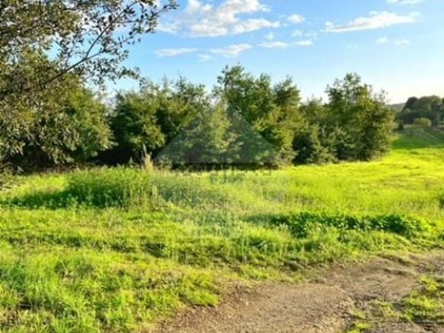 Terreno in vendita di 25000 m²