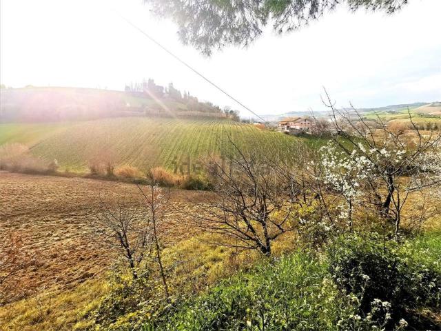 Terreno in vendita di 25000 m²