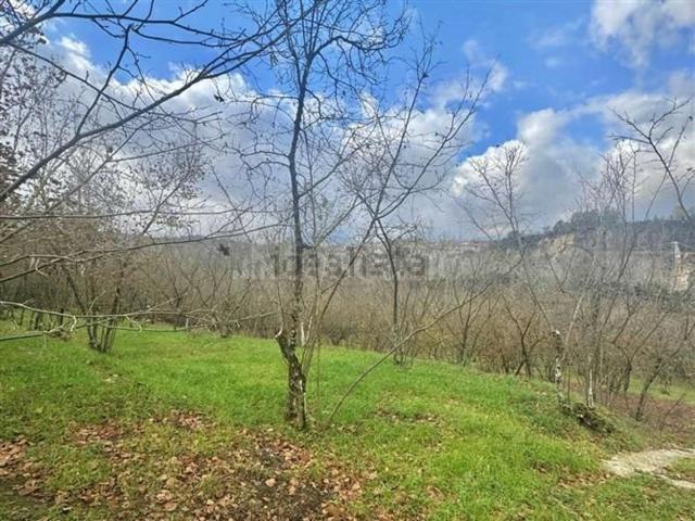 Terreno in vendita di 25000 m² in Via Belle Donne