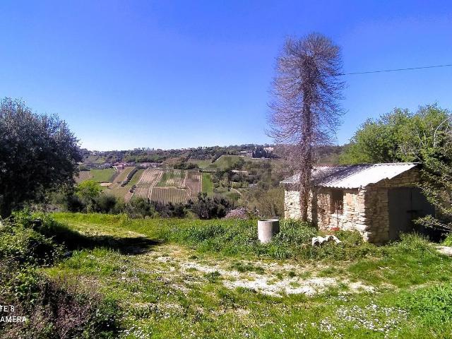 Terreno in vendita di 25000 m² in Via Turri, 50