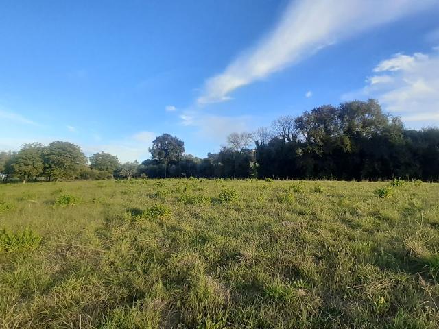 Terreno in vendita di 25000 m² in Contrada Giardino