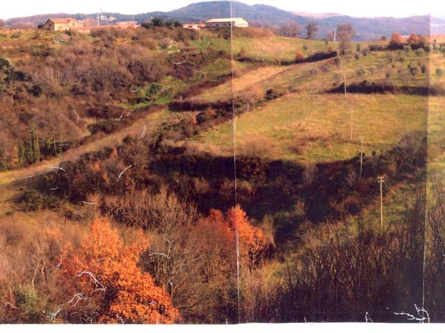 Terreno in vendita di 25000 m² in Località elci
