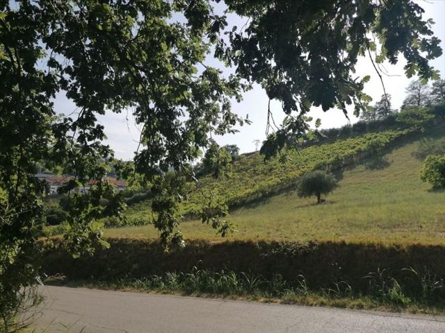 Terreno in vendita di 25000 m² in Strada dei Frutteti San Salvatore
