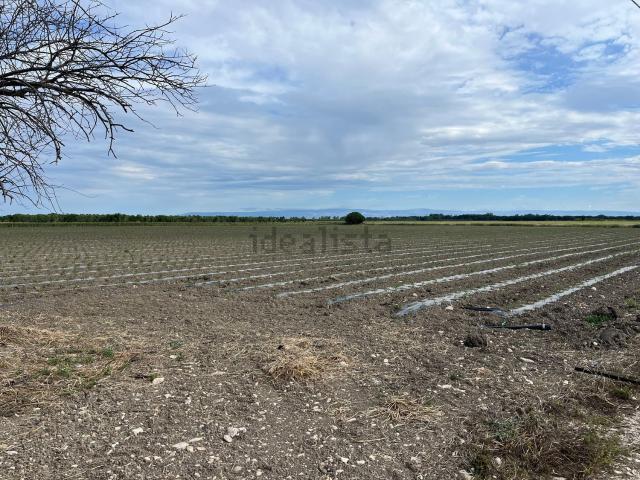 Terreno in vendita di 25000 m² in Strada poderale san lorenzo