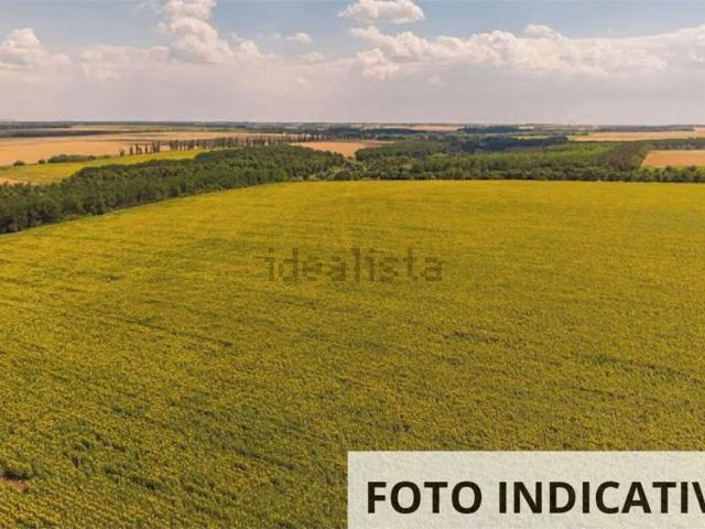 Terreno in vendita di 2500 m² in Contrada Sbricci Giara di Mezzo