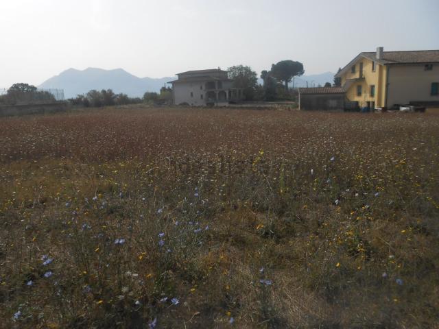 Terreno in vendita di 2500 m² in Frazione Montaperto