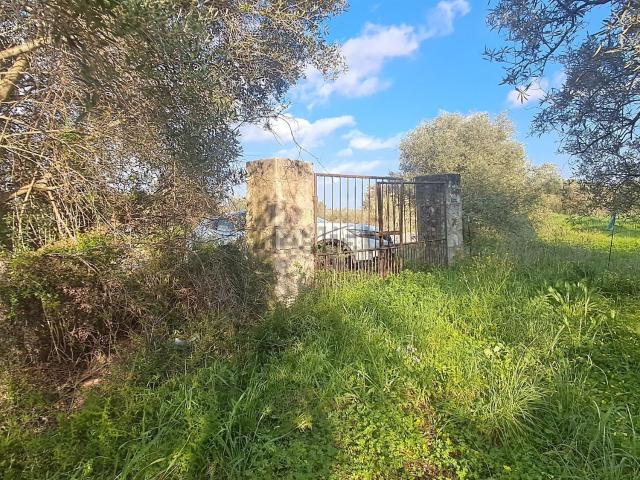 Terreno in vendita di 2500 m² in Strada Provinciale 11
