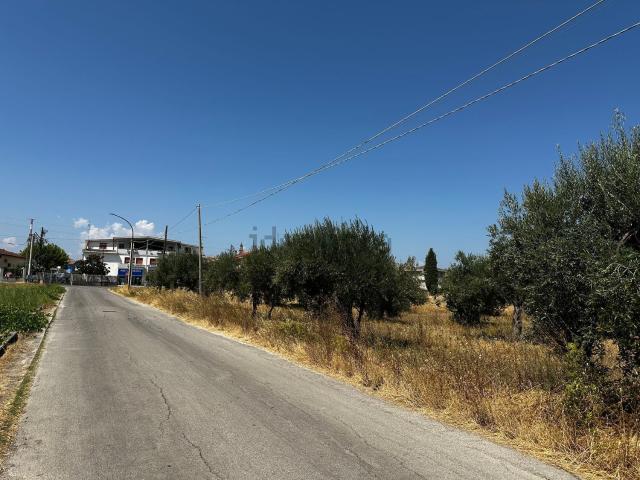 Terreno in vendita di 2500 m² in Via Cavalluccio, 1