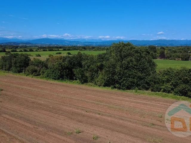 Terreno in vendita di 2500 m² in Via Marziano Ciotti