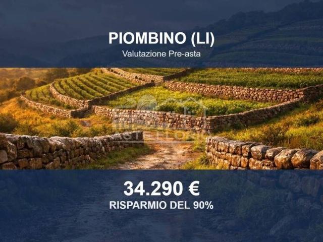 Terreno in vendita di 2500 m² in Via Paolo Vannucci, 10