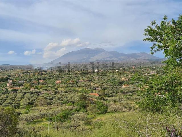 Terreno in vendita di 2500 m²