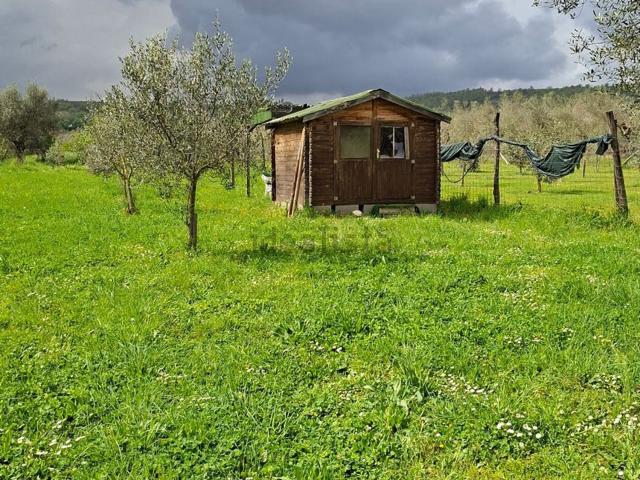 Terreno in vendita di 2500 m²