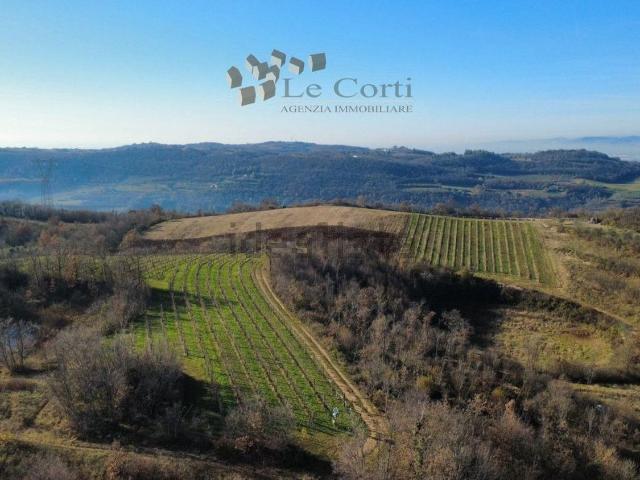 Terreno in vendita di 25155 m²