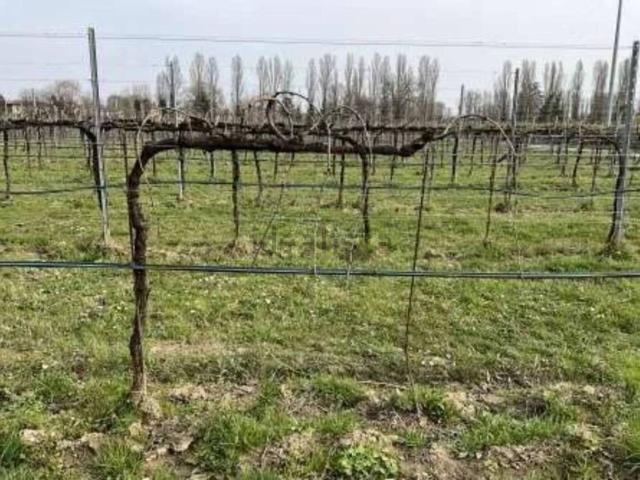 Terreno in vendita di 25170 m² in Via San Giovanni