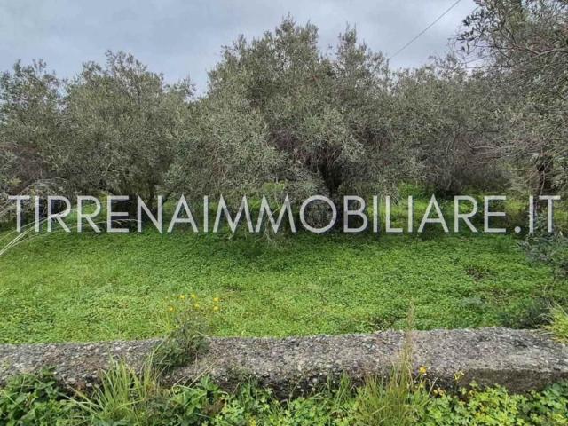 Terreno in vendita di 2520 m² in Contrada Musarra, 38