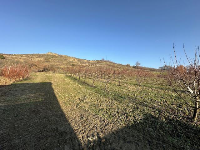 Terreno in vendita di 26500 m² in Via Montanara Nord, 15