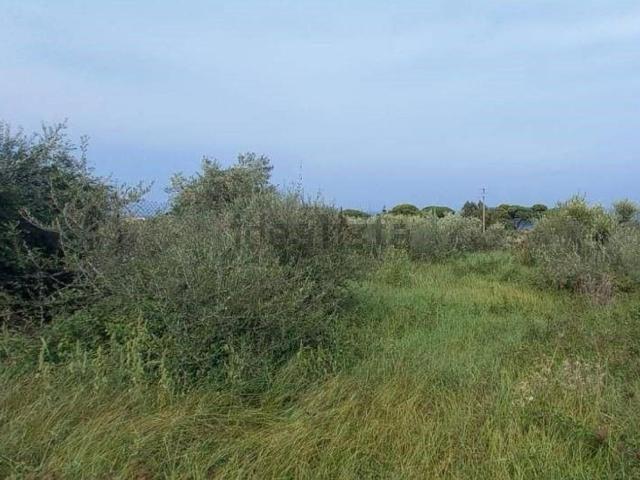 Terreno in vendita di 2660 m² in Contrada MEZZACAMPA