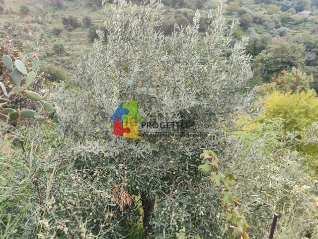 Terreno in vendita di 26690 m² in Via dietro la madonna